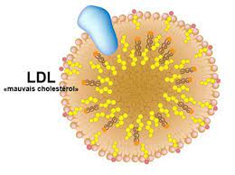 Efficacité et sécurité de la réduction intense du LDL cholestérol  versus une réduction moins intense: une méta-analyse de 38427 patients