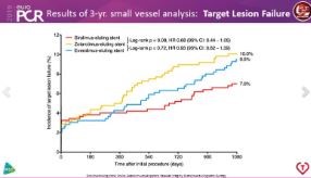L’étude BIO-RESORT : Résultats cliniques à trois ans après traitement par des stents actifs fins, très fins et ultrafins dans les petites artères coronaires (présentée par Clemens Von Birgelen)